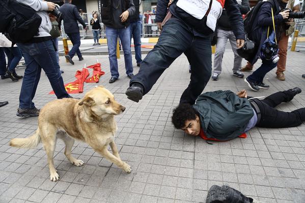 Zaytung Fotohaber Taksim De Kopege Tekme Atan Polis Memuru Ifadesi Alindiktan Sonra Bir Ust Rutbeye Sevk Edildi